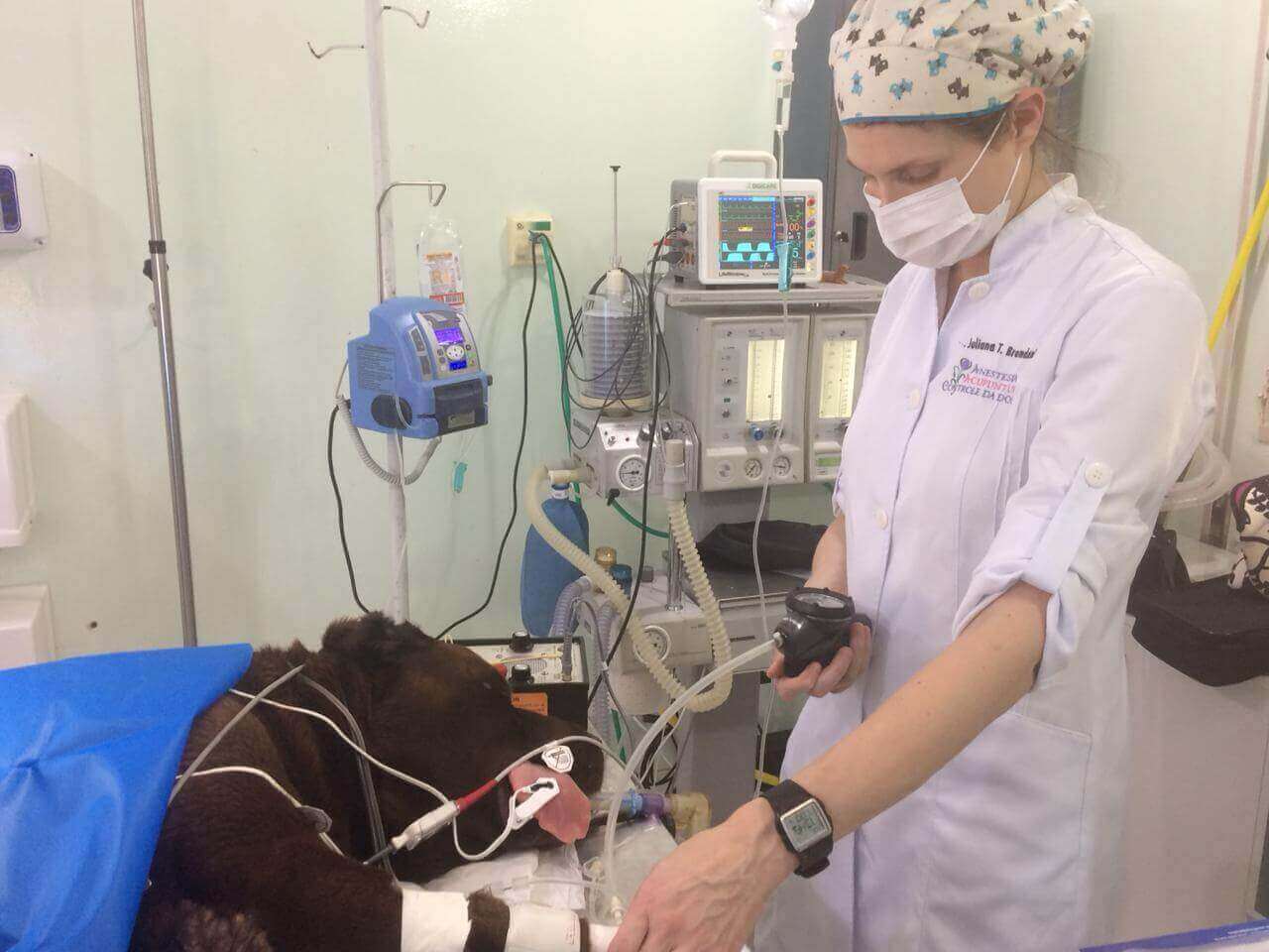 anestesiologia veterinaria