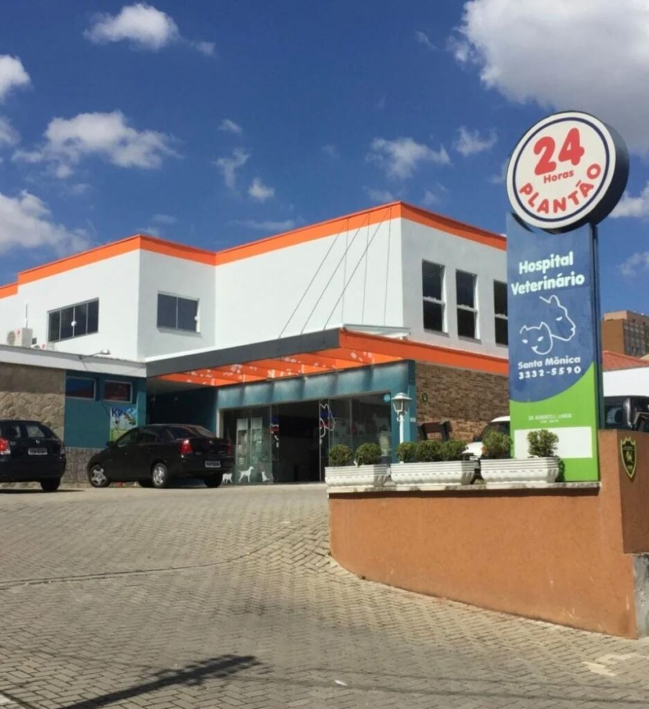 Venha com o HVSM e entenda o que é uma junta médica veterinária!